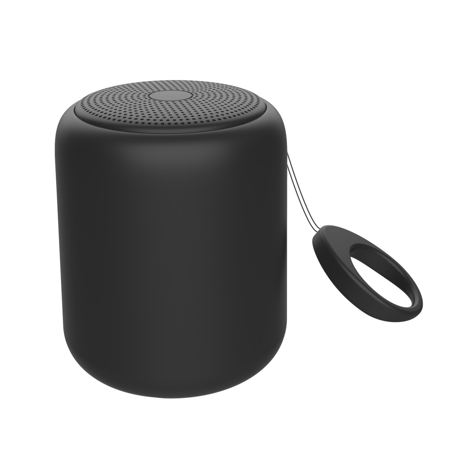 BT90 Portable speaker
