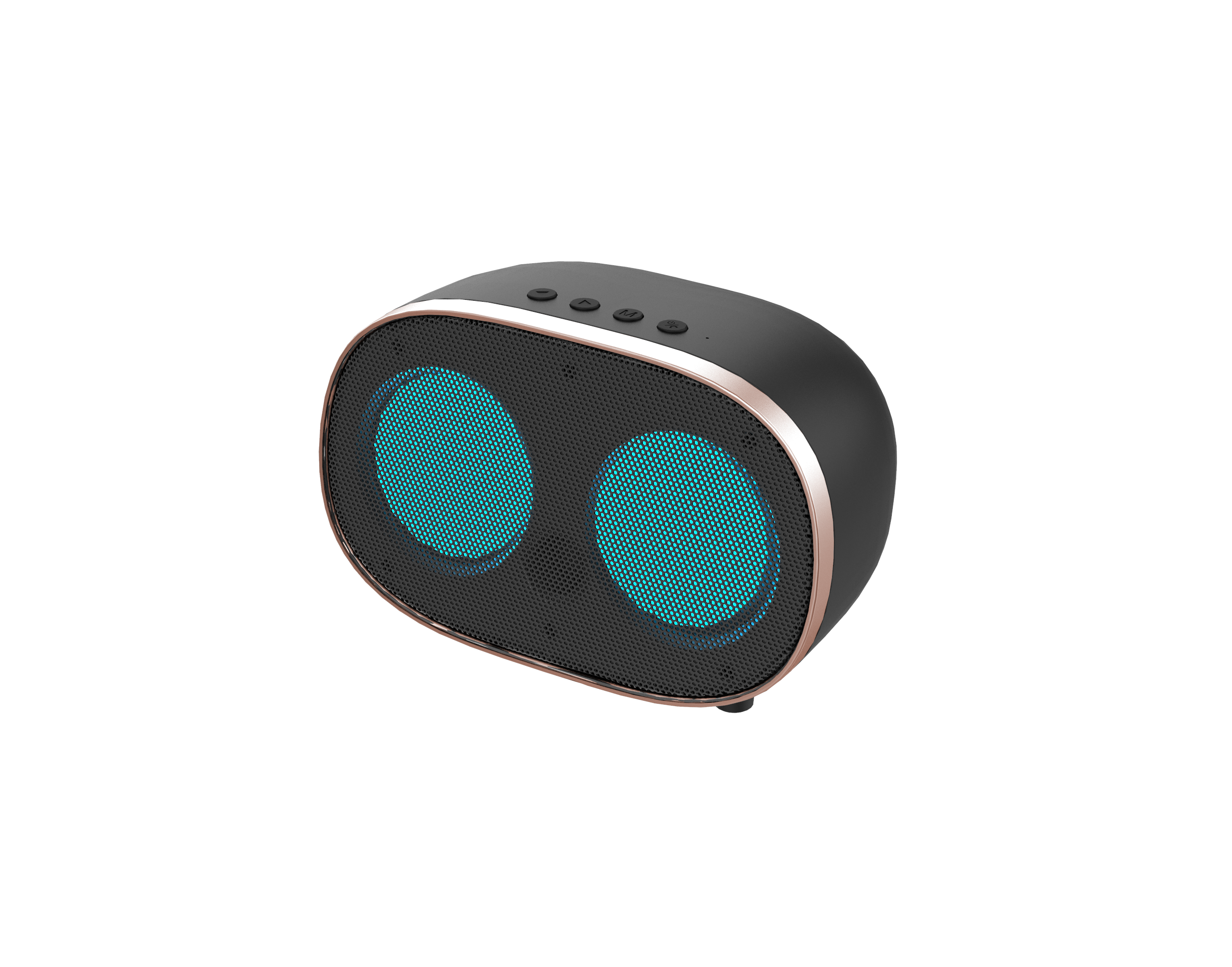 BT30 Portable speaker